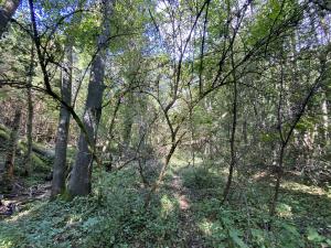 Prodej pozemku, Lánov - Horní Lánov, 718 m2