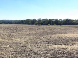 Prodej pozemku, Podbořany - Kněžice, 1801 m2