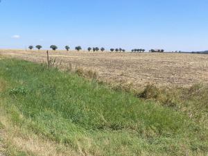 Prodej pozemku, Podbořany - Kněžice, 1801 m2