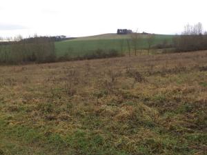 Prodej pole, Srby, 19946 m2