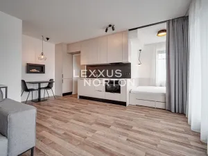 Pronájem bytu 1+kk, Praha - Strašnice, Zvěřinova, 39 m2