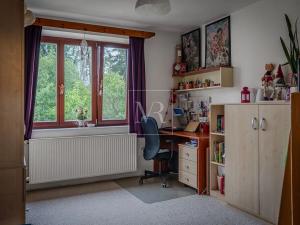 Prodej komerční nemovitosti, Sulice, Hlavní, 370 m2