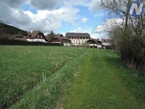 Prodej pozemku, Borová Lada, 7953 m2