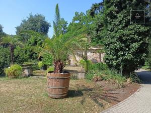 Pronájem bytu 1+kk, Praha - Malešice, Ungarova, 36 m2