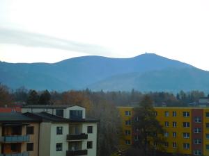 Prodej bytu 3+1, Frýdlant nad Ostravicí, Hlavní, 83 m2