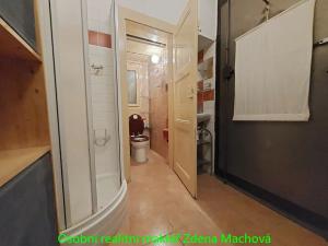 Pronájem bytu 1+kk, Praha - Žižkov, Žerotínova, 19 m2