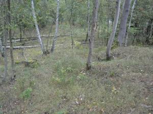 Prodej zahrady, Liberec, 1233 m2