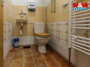 Pronájem obchodního prostoru, Jeseník, V Oblouku, 40 m2