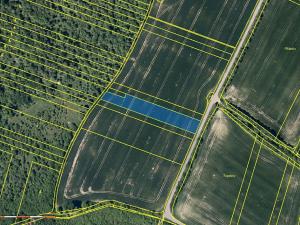 Prodej pole, Šarovy, 9623 m2