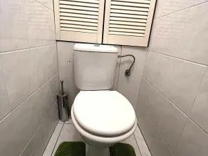 Pronájem bytu 1+1, Praha - Vršovice, U Slavie, 36 m2