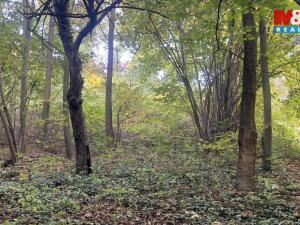 Prodej pozemku pro bydlení, Tábor, 1330 m2