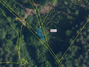 Dražba lesa, Jílové u Držkova, 88 m2