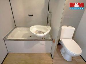 Prodej bytu 1+kk, Verneřice, Příbramská, 35 m2