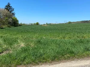 Prodej pozemku pro bydlení, Hamr na Jezeře, 3156 m2