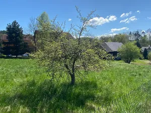 Prodej pozemku pro bydlení, Hamr na Jezeře, 3156 m2