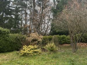 Pronájem zahrady, Postupice, 729 m2