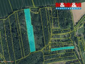 Prodej lesa, Hlohovčice, 10323 m2