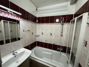 Pronájem bytu 2+1, Vysoké Mýto, Sv. Čecha, 55 m2