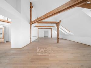 Prodej bytu 5+kk, Praha - Dejvice, Buzulucká, 239 m2