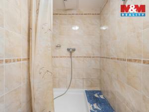 Prodej obchodního prostoru, Ústí nad Labem - Ústí nad Labem-centrum, Masarykova, 48 m2