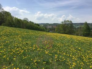 Prodej pozemku pro bydlení, Volyně, 6867 m2