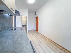 Prodej bytu 1+1, České Budějovice, Lidická tř., 38 m2