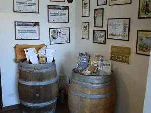 Prodej rodinného domu, Moravská Nová Ves, Pod Kostelem, 108 m2