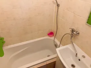 Pronájem bytu 3+1, Ostrava, Svojsíkova, 74 m2