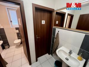 Pronájem kanceláře, Horní Suchá, Zelená, 10 m2