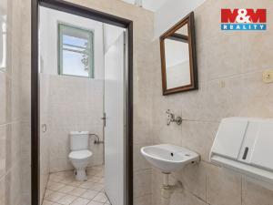 Prodej obchodního prostoru, Žlebské Chvalovice, 280 m2