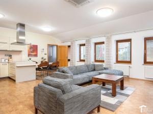 Pronájem bytu 3+kk, Pardubice - Zelené Předměstí, Hronovická, 92 m2