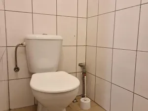 Pronájem obchodního prostoru, Hodonín, Cihlářská čtvrť, 61 m2