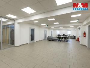 Pronájem kanceláře, Louny, Březinova, 210 m2