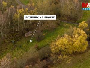 Prodej louky, Česká Lípa, 5589 m2