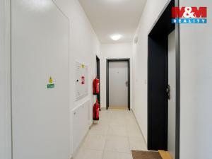 Pronájem bytu 1+kk, Plzeň, 45 m2