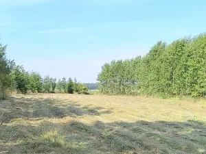 Prodej zahrady, Doubravčice, 7161 m2