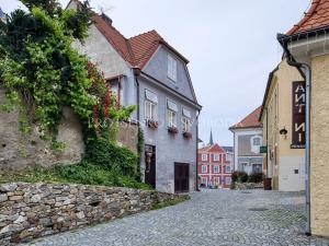 Prodej vily, Český Krumlov, Horská, 469 m2