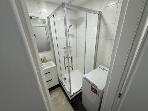 Pronájem bytu 3+1, Rožnov pod Radhoštěm, 1. máje, 72 m2