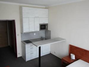 Pronájem bytu 1+kk, Přelouč, Pardubická, 17 m2