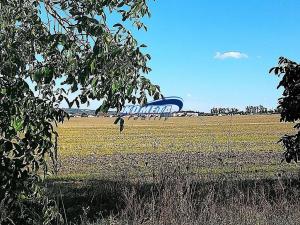 Prodej zahrady, Starovice, 1158 m2