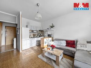 Prodej bytu 2+kk, Děčín, Dvořákova, 45 m2