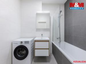 Prodej bytu 2+1, Teplice, Alejní, 46 m2