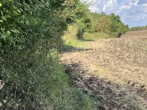 Prodej louky, Praha - Královice, 698 m2