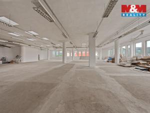 Pronájem obchodního prostoru, Děčín - Děčín IV-Podmokly, Plzeňská, 666 m2