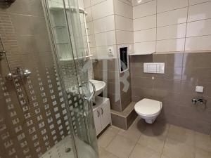 Pronájem bytu 1+1, České Budějovice - České Budějovice 3, Zachariášova, 36 m2