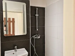 Pronájem bytu 1+kk, Ostrava, Krakovská, 22 m2