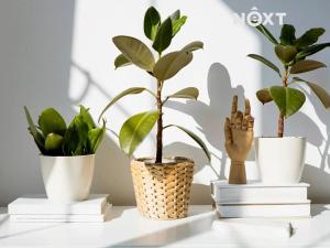 Prodej rodinného domu, České Budějovice, Nádražní, 106 m2