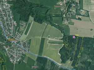 Prodej lesa, Srubec, 677 m2