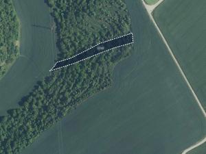 Prodej sadu/vinice, Uherčice, 2564 m2