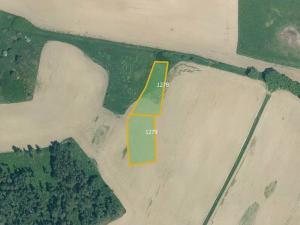 Prodej pole, Velký Bor, 45700 m2